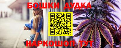 гидропоника Тара