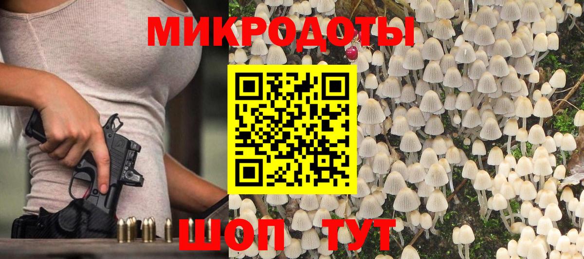 Таганрог  Галлюциногенные грибы Psilocybe  Вход с VPN  Псилоцибиновые грибы мухоморы 